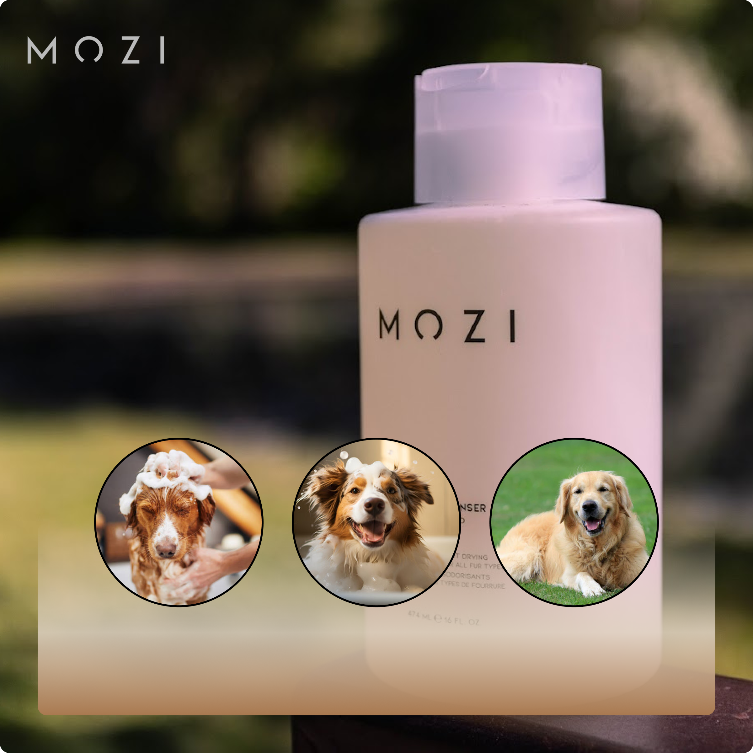 MOZI Gentle Cleanser Pet Shampoo